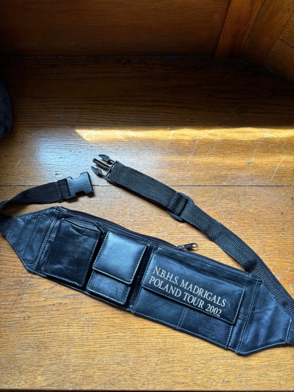 Y2K Era Money Belt